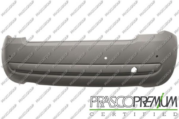 PRASFT0301061